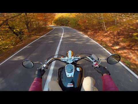 საბადურის ტყე,შემოდგომა.  Golden autumn, moto tour in the Sabaduri forest.Georgia